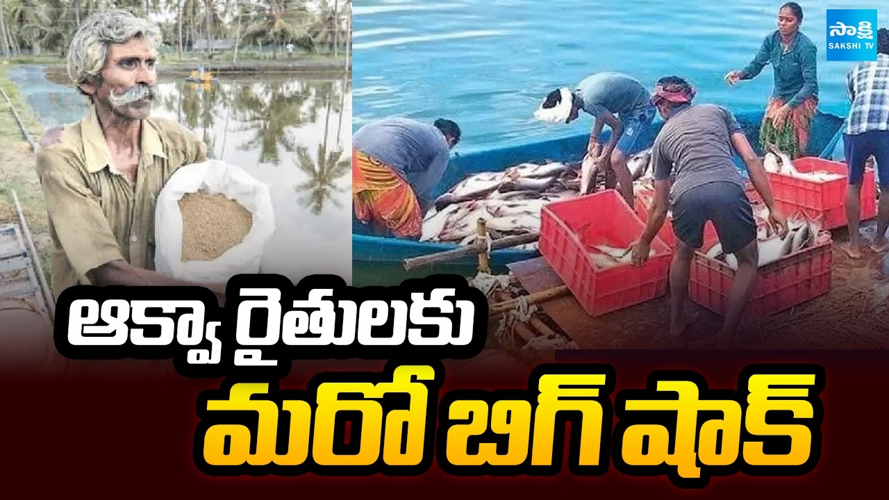ఆక్వా రైతులకు మరో బిగ్ షాక్ | Big Shock To Aqua Farmers | Kutami Govt | Chandrababu Fails |Sakshi TV