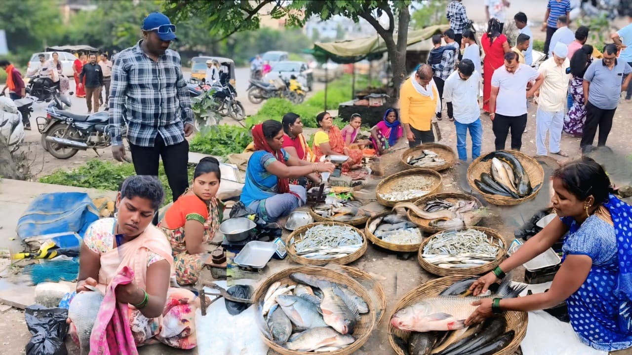 गळाने🎣मासे पकडून गेलो मार्केटला भरपूर दिवसानंतर मार्केटला सुद्धा गिराईक भरपूर🐠चिलापी मरळ कटला वाम🤩