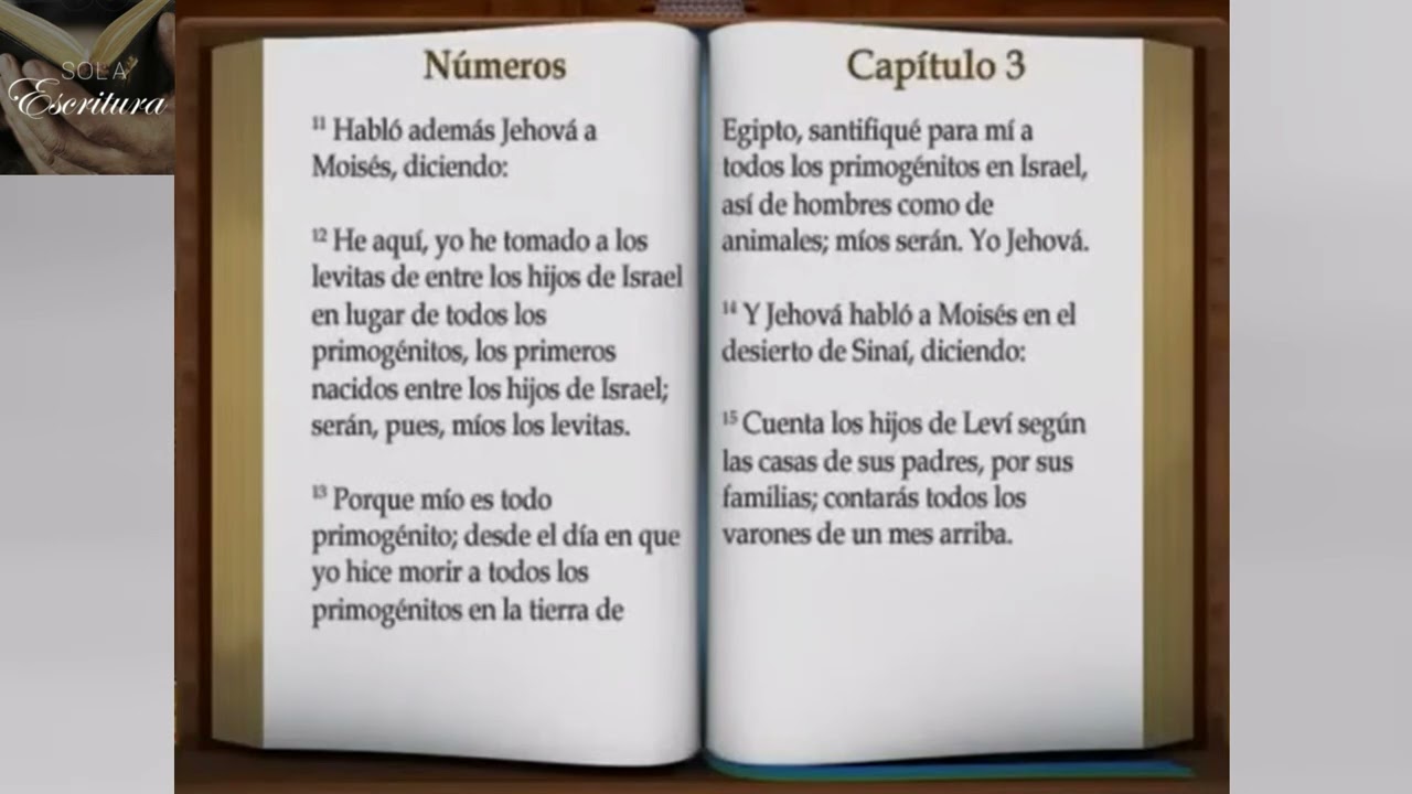 📖 El libro de Números  (La Biblia Para Escuchar y Leer)
