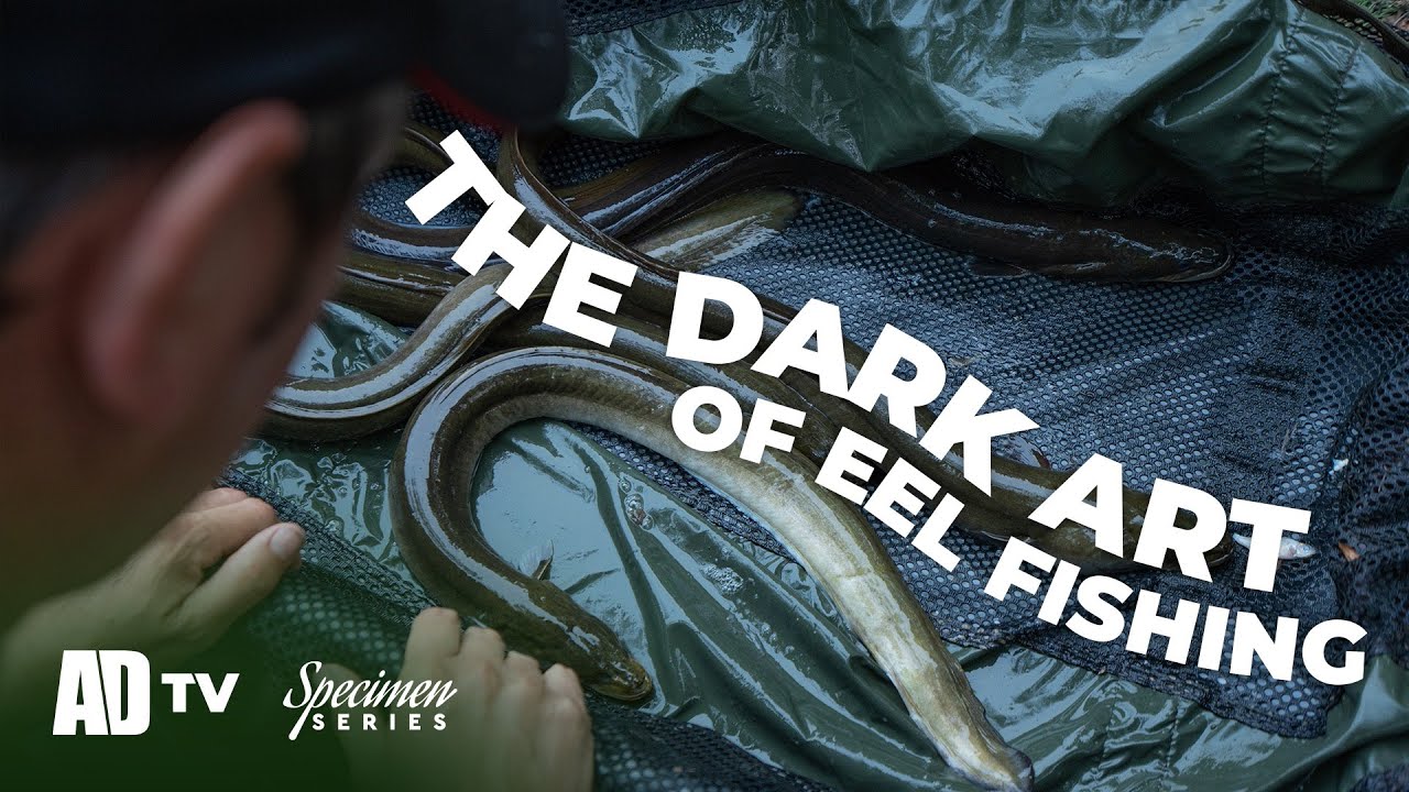 Phil Spinks Specimen Series - Gravel Pit Eel Fishing