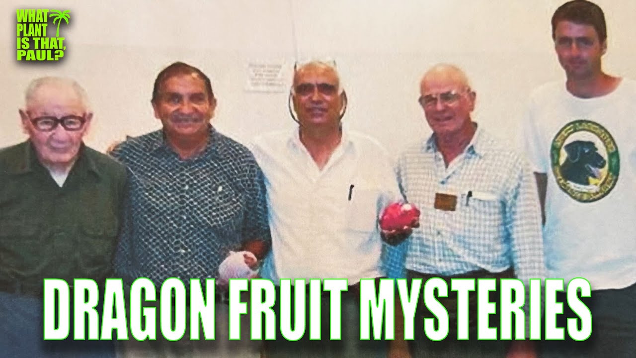 DRAGON FRUIT MYSTERIES SOLVED / IS JADE RED an Edgar Valdivia HYBRID / Israeli DRAGON FRUIT PROGRAM