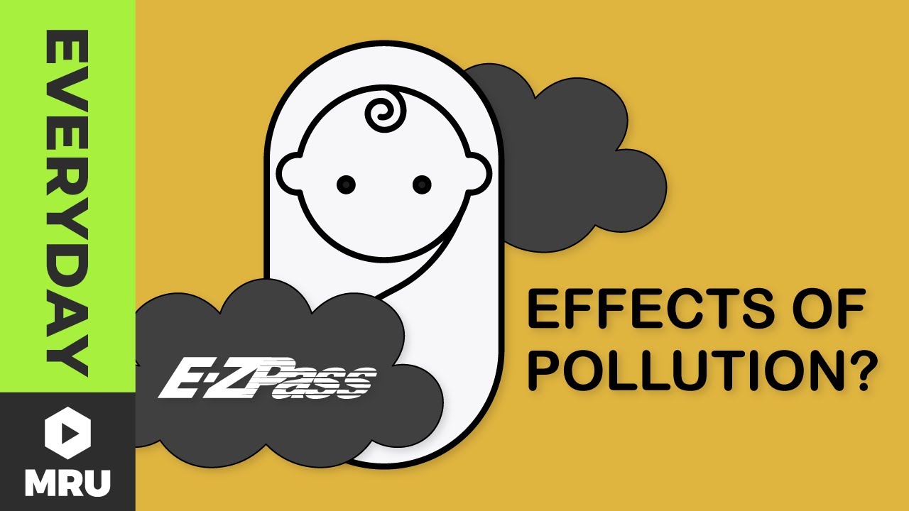 The Hidden Cost of Pollution