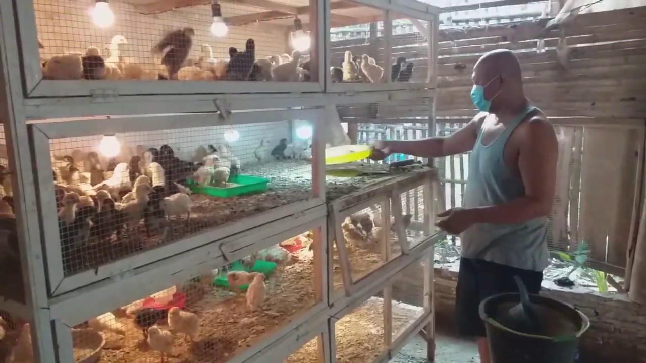 Pingin nggak punya peternakan mandiri seperti ini?