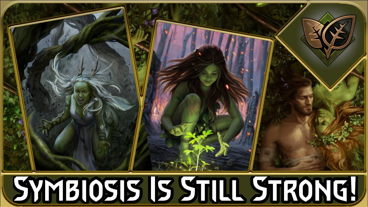 Symbiosis Powers Through The Ladder! (Gwent Scoia'tael Nature's Gift Deck)