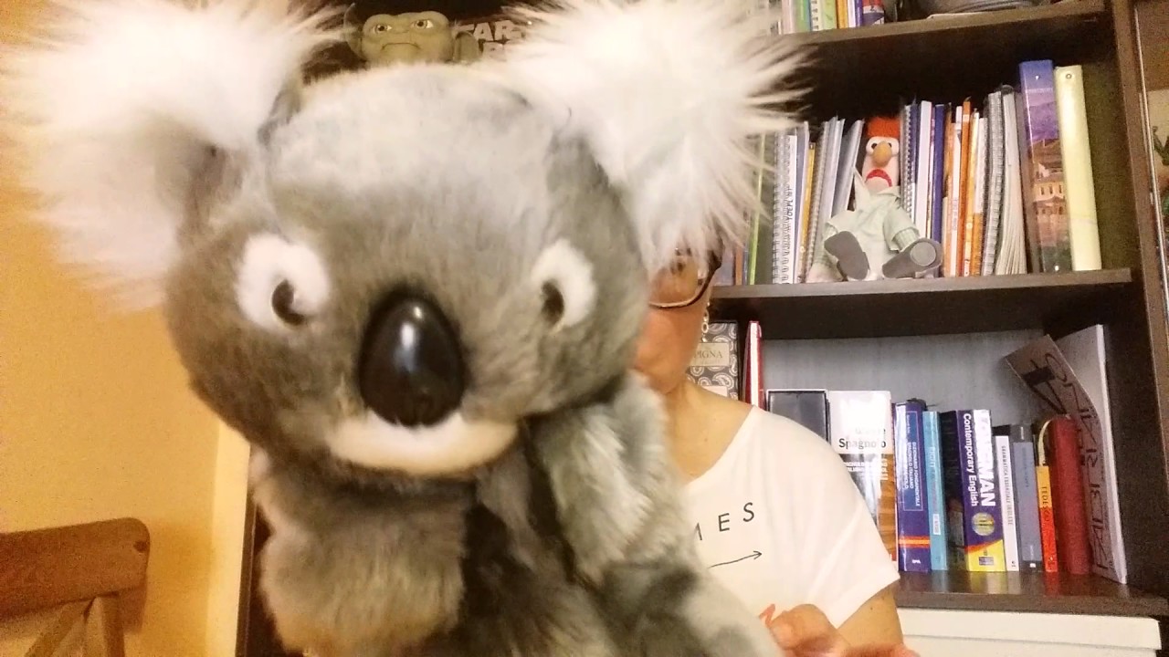 Sidney insegna ai bambini il verbo AVERE: TO HAVE ( basic)