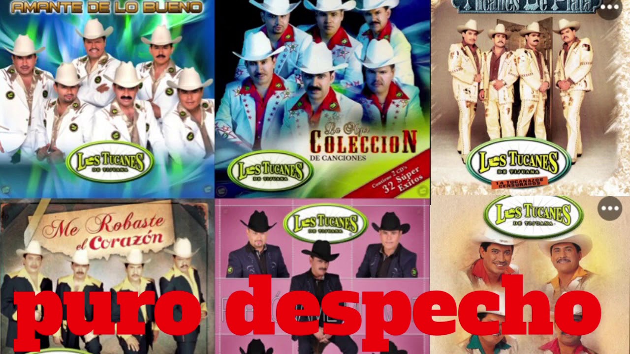 LOS TUCANES DE TIJUANA DESPECHO MIX