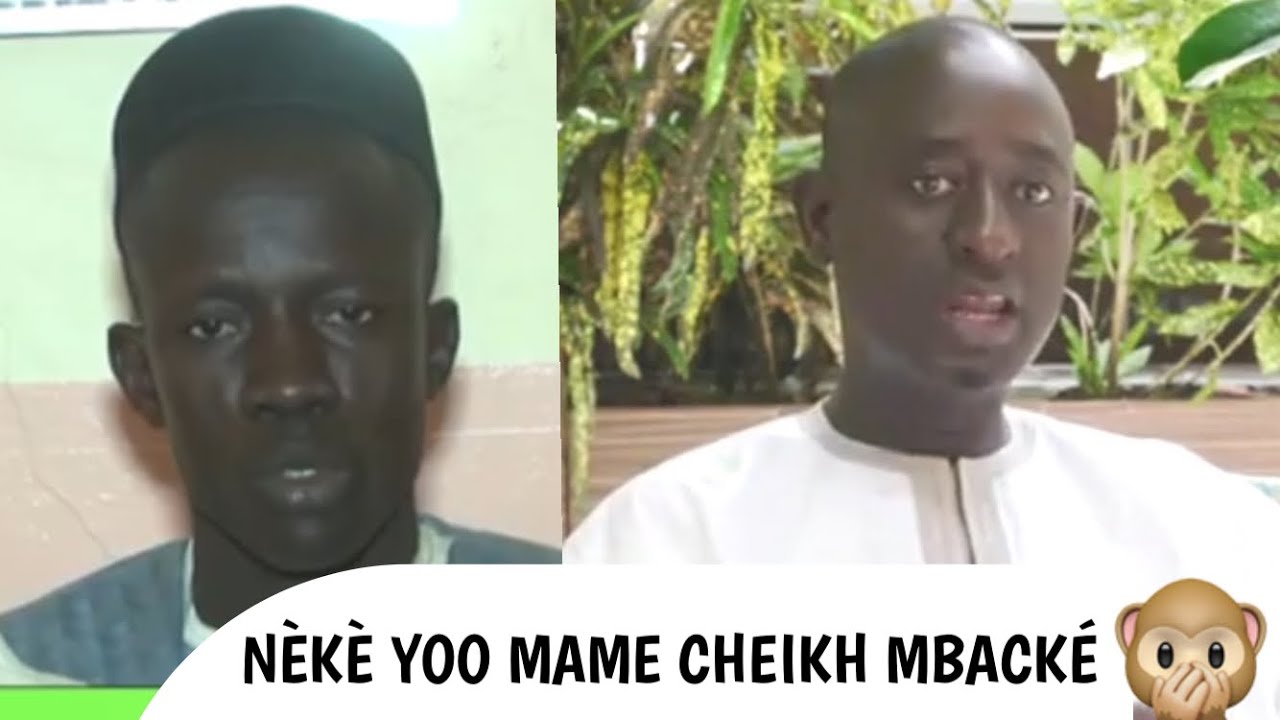Vers l’effondrement de la mafia mouride par Mame Cheikh Mbacke Khadim Awa Ba