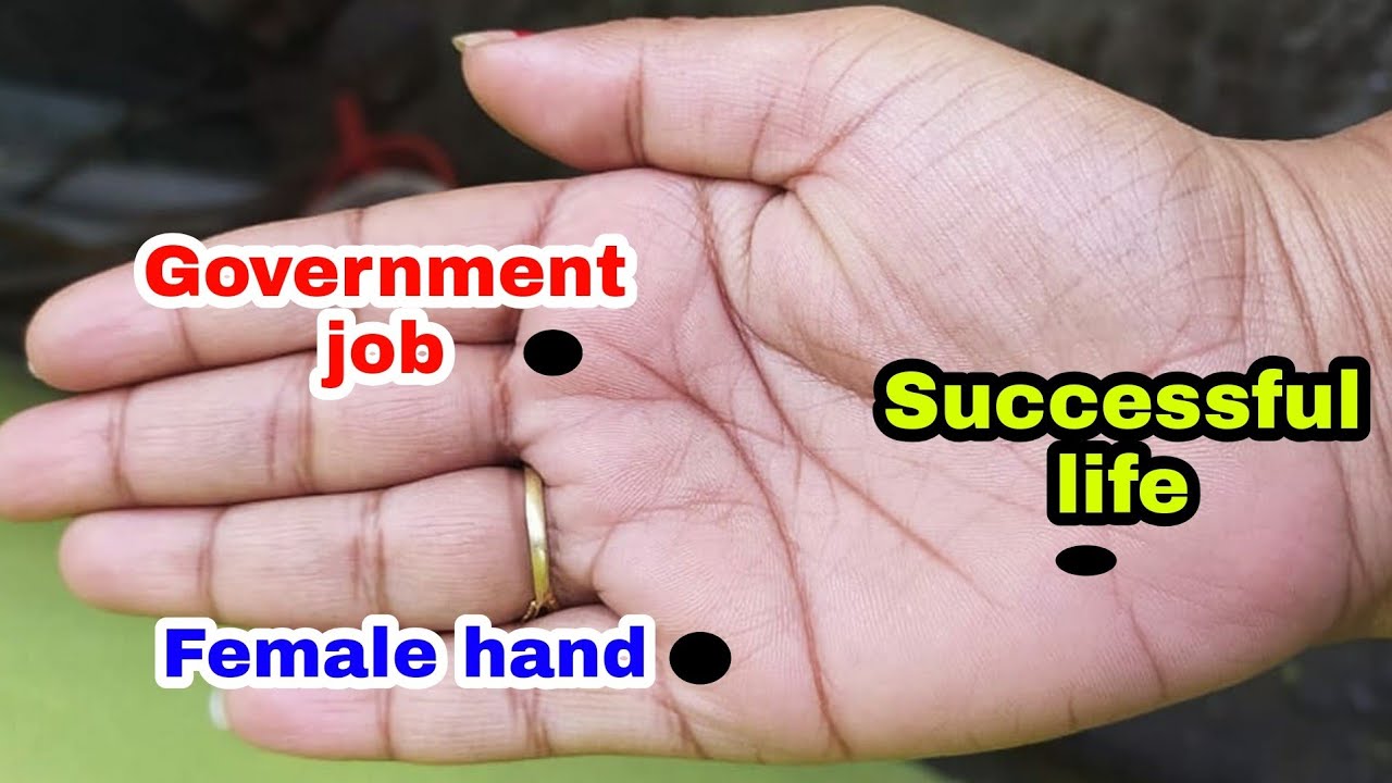 government job and successful life indication in female hand ! palmistry reading for female hand