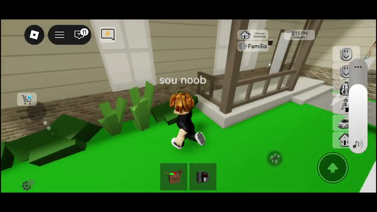 Chatiando as pessoas em BROOKHAVEN rp