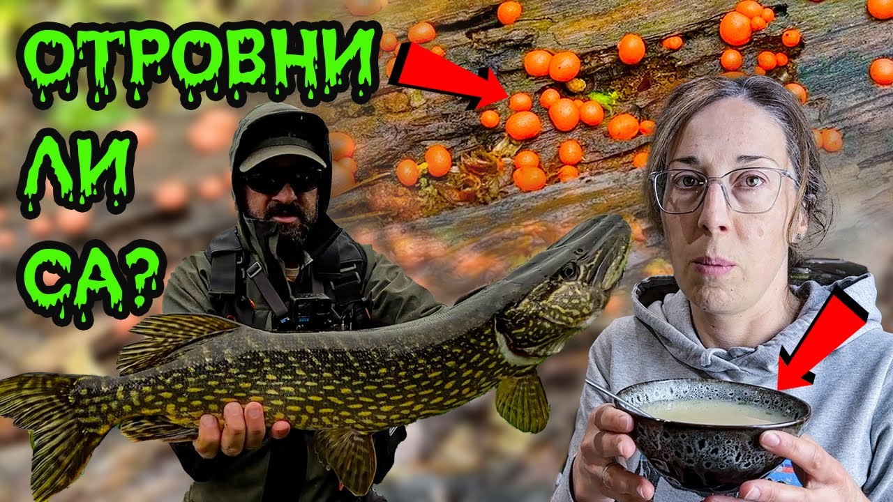 ГОЛЯМА ЩУКА и СТРАННИ ГЪБИ с ОРАНЖЕВА СЛУЗ! Сготвихме ГЪБЕНА ЧОРБА и ядохме СУРОВА КОПРИВА