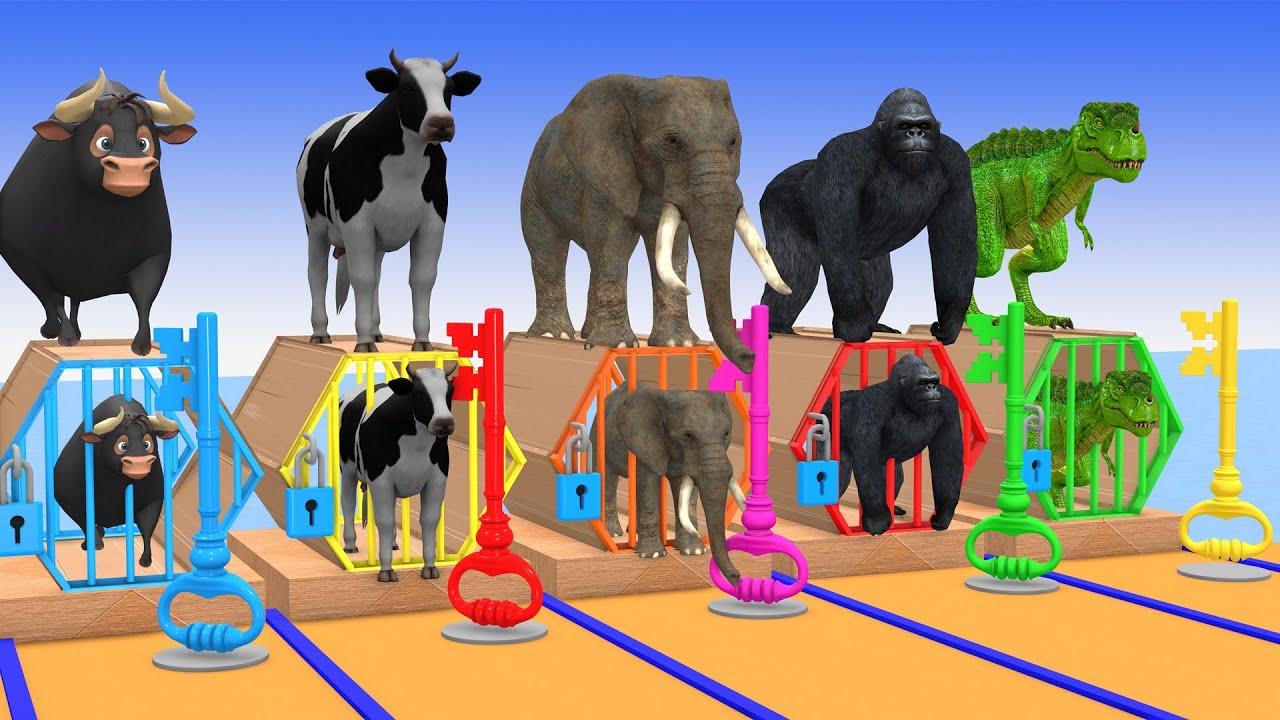 Long Slide Game With Cow Elephant Gorilla Hippopotamus Tiger 3d Animal Game Funny 3d Animals