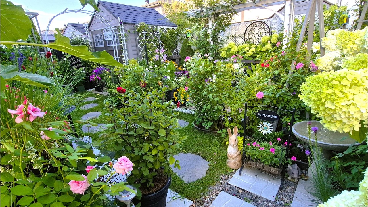 BEAUTIFUL SMALL GARDEN SPACE TO RELAX #garden #gardening #gardentour #plants #flowers #new