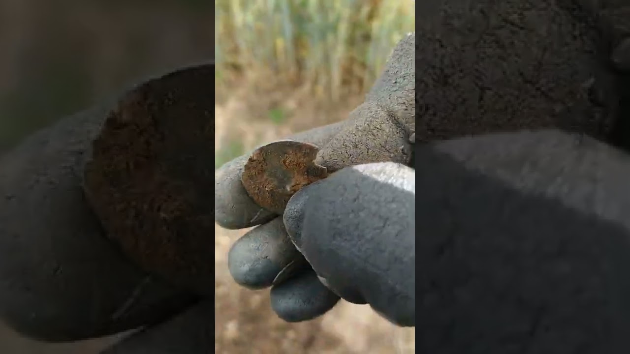 Polní hledačka v zasetém poli😲bronz? mince, krásný knoflík.(Vanquish 440,metal detector)