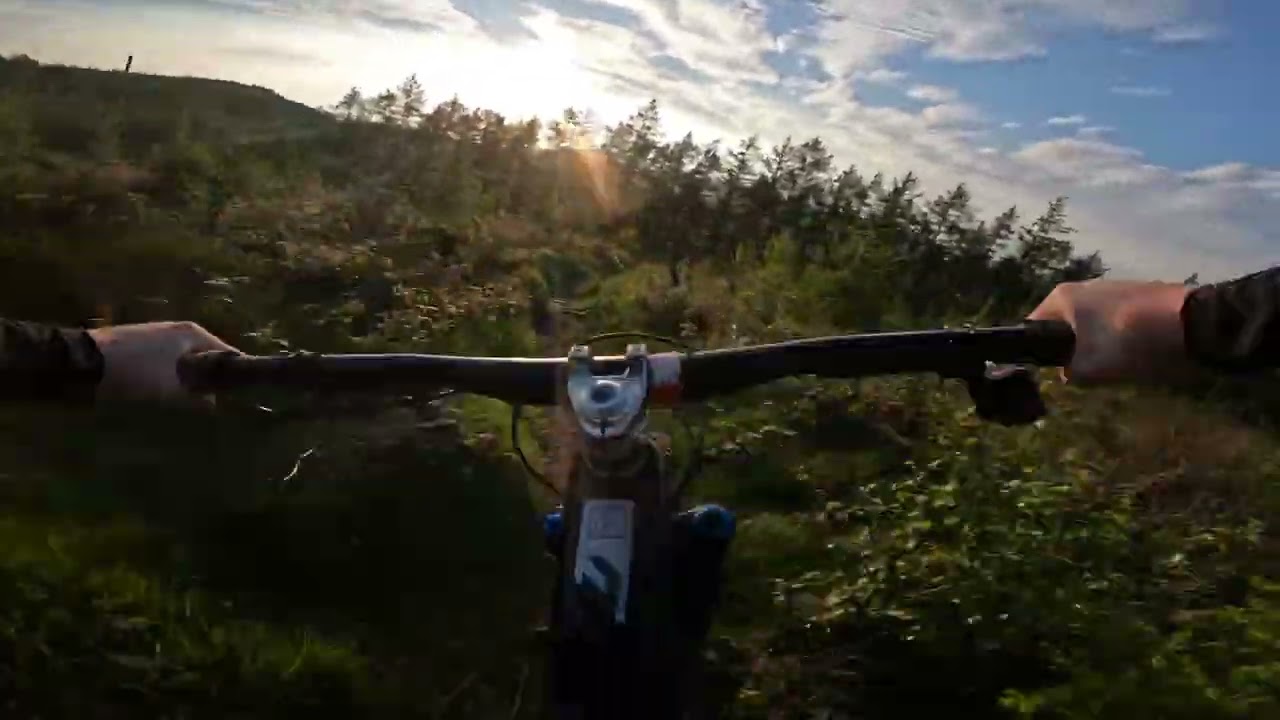Hips n whips 2 guisborough woods fast run