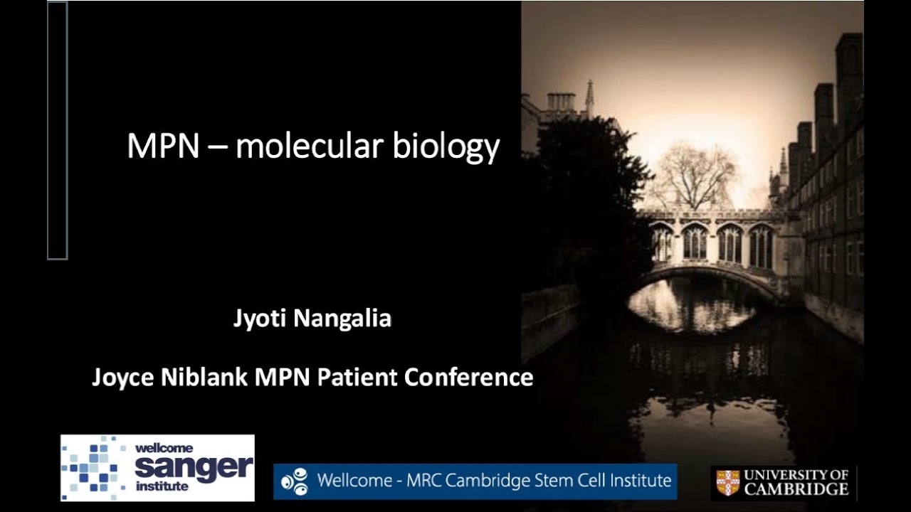 MPN Molecular Biology  - Dr. Jyoti Nangalia