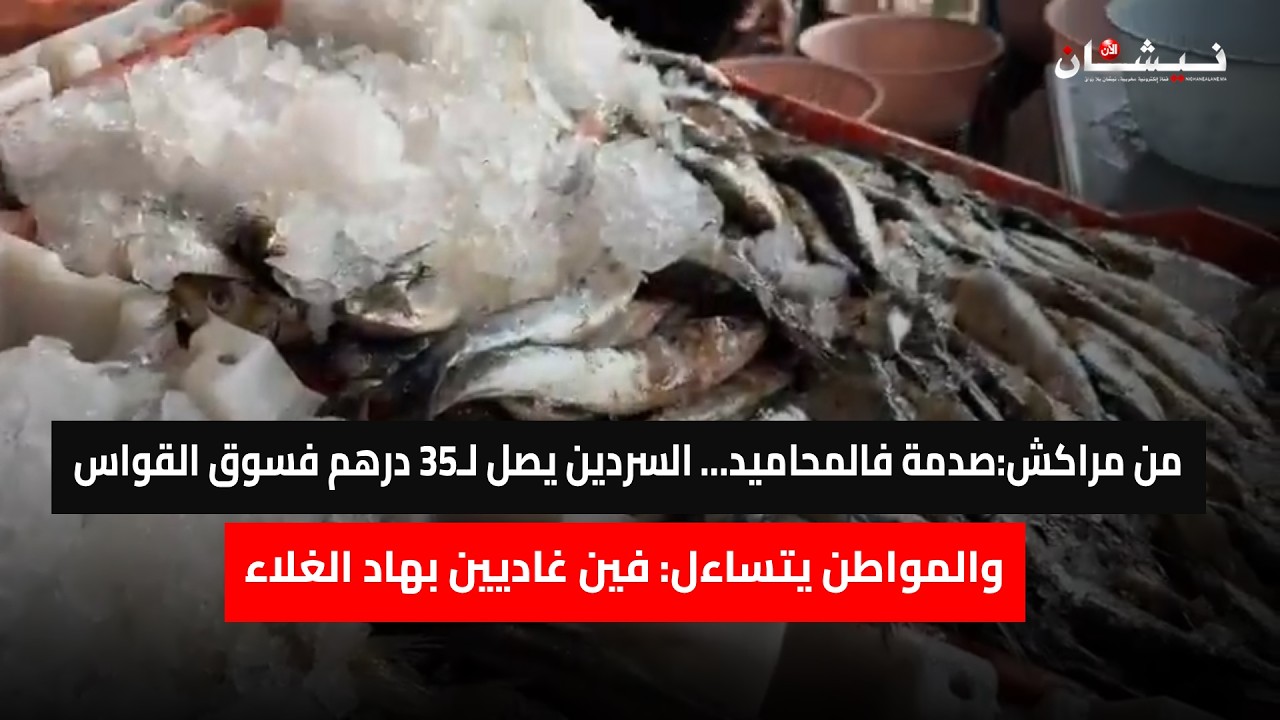 من مراكش:صدمة فالمحاميد… السردين يصل لـ35 درهم فسوق القواس والمواطن يتساءل: فين غاديين بهاد الغلاء
