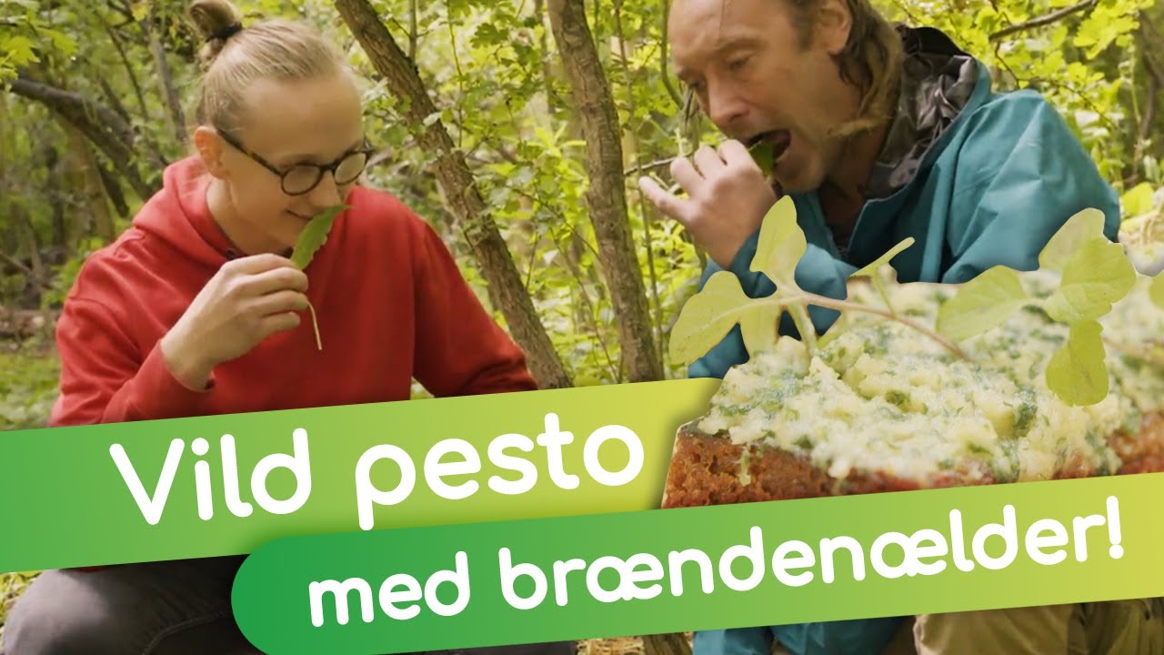 Det helt vildt! ft. Johannes Matzen & Nikolaj Kirk  I  Mad med naturtalenter  I  MadMagi