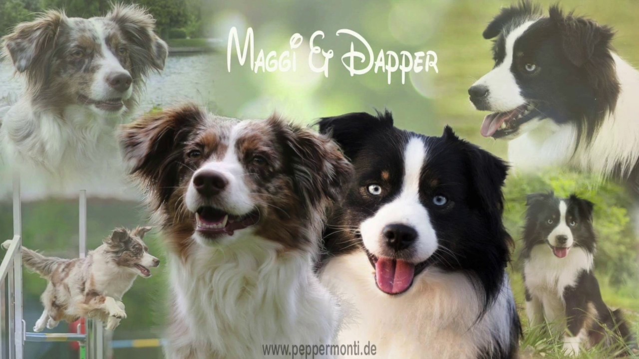 Maggis Trächtigkeit 1-36