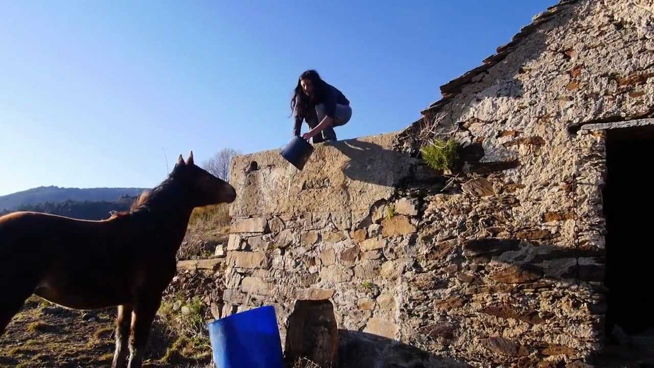Reportage - Refuge La Lumière des Chevaux - PY Vidéo Production Mars 2013