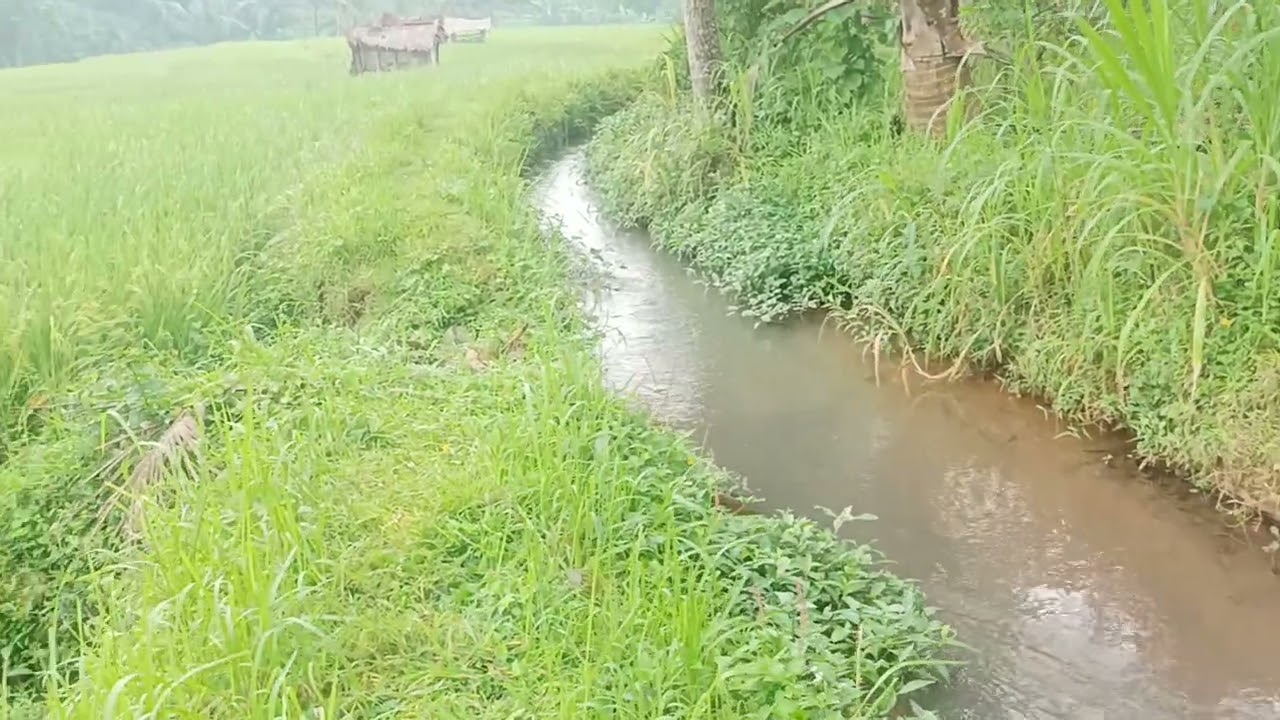 Sinergi dengan alam