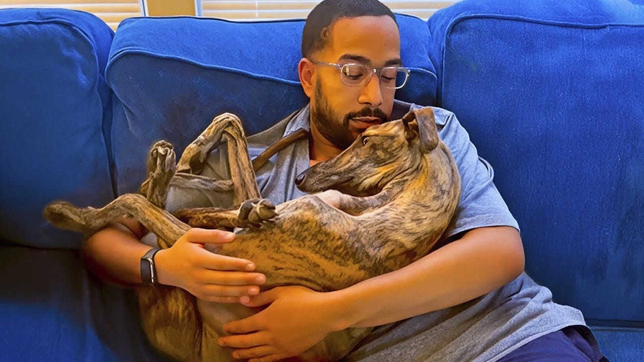 Couple Adopted a Dog From a Train Station – Now He’s a Big Brother to Their Newborn Baby.