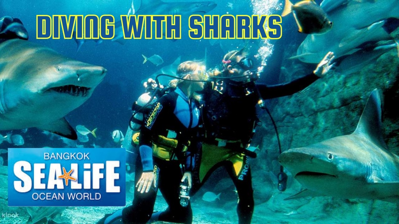 A Birthday Surprise for Suzy at Sea Life Bangkok (You Have to See This Aquarium!)