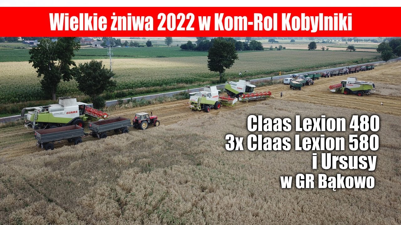 Wielkie żniwa 2022 w Kom-Rol Kobylniki, 4x Claas Lexion i Ursusy na polu GR Bąkowo