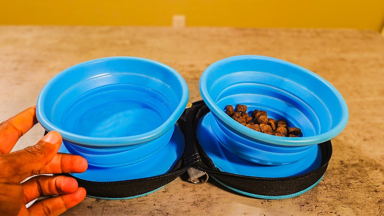 Watch before you buy - Portable Silicone Pet Dish Bowls