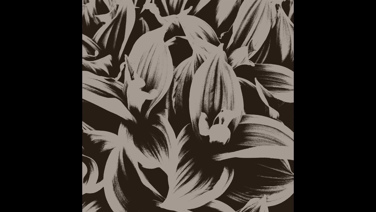 Illustration Sonore - Violence