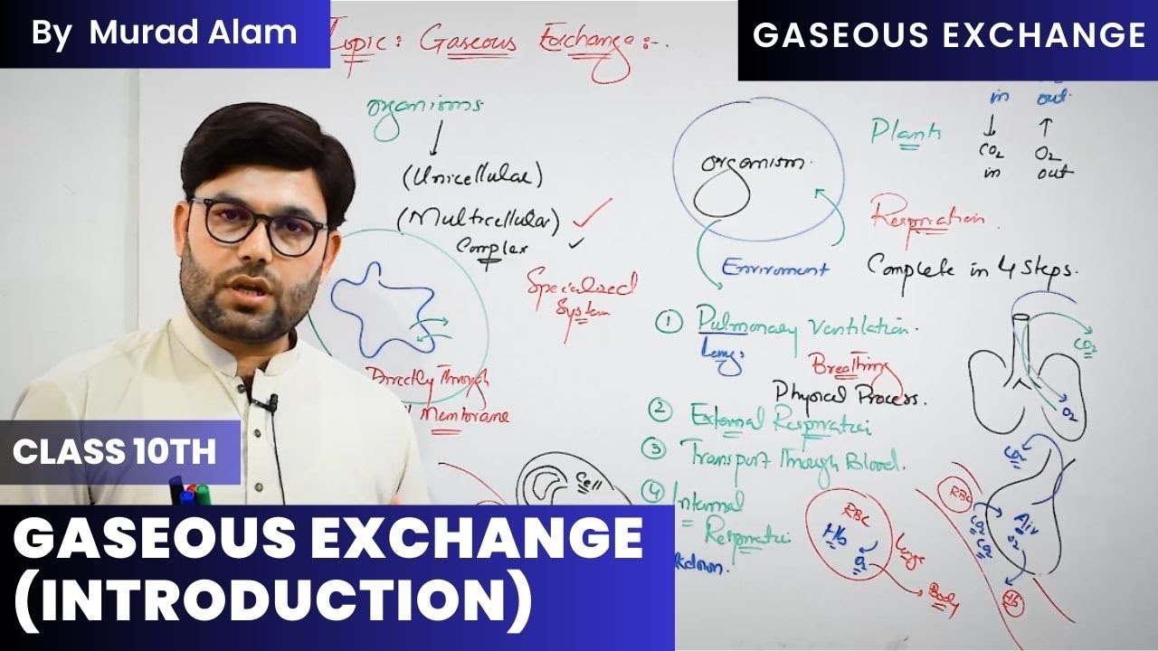 Gaseous Exchange l Biology 10th in Urdu/Hindi l Ch: Gaseous Exchange