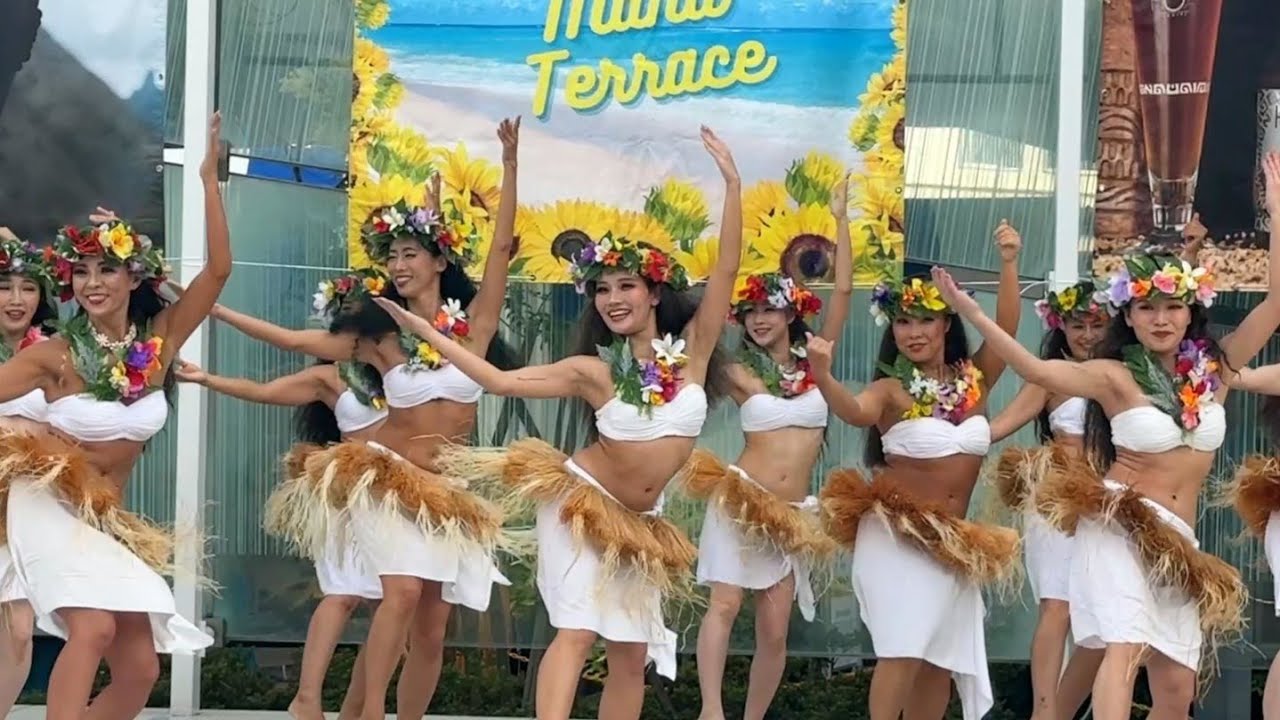 SHONAN MANA TERRACE 2025【MOEHERE】