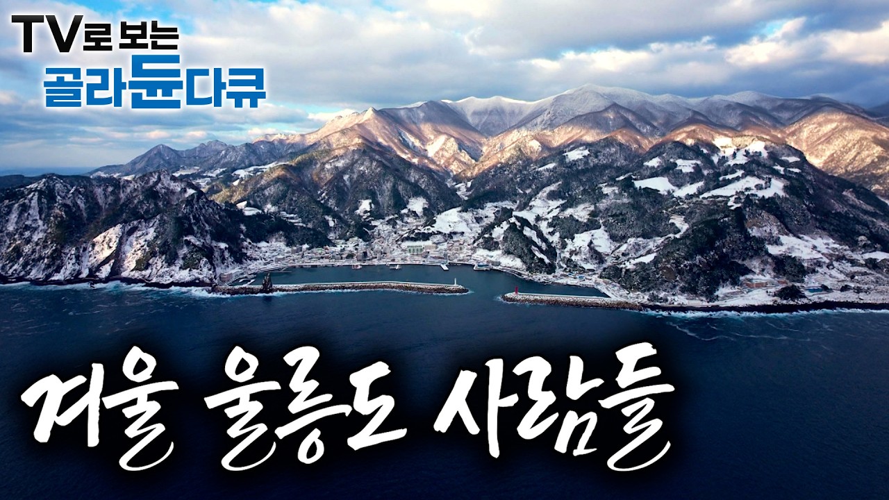 외로운 겨울섬 울릉도에 사는 사람들｜여행 왔다가 반해 울릉도에서 결혼하고 사는 신혼부부｜겨울섬 사람들｜한국기행｜#골라듄다큐