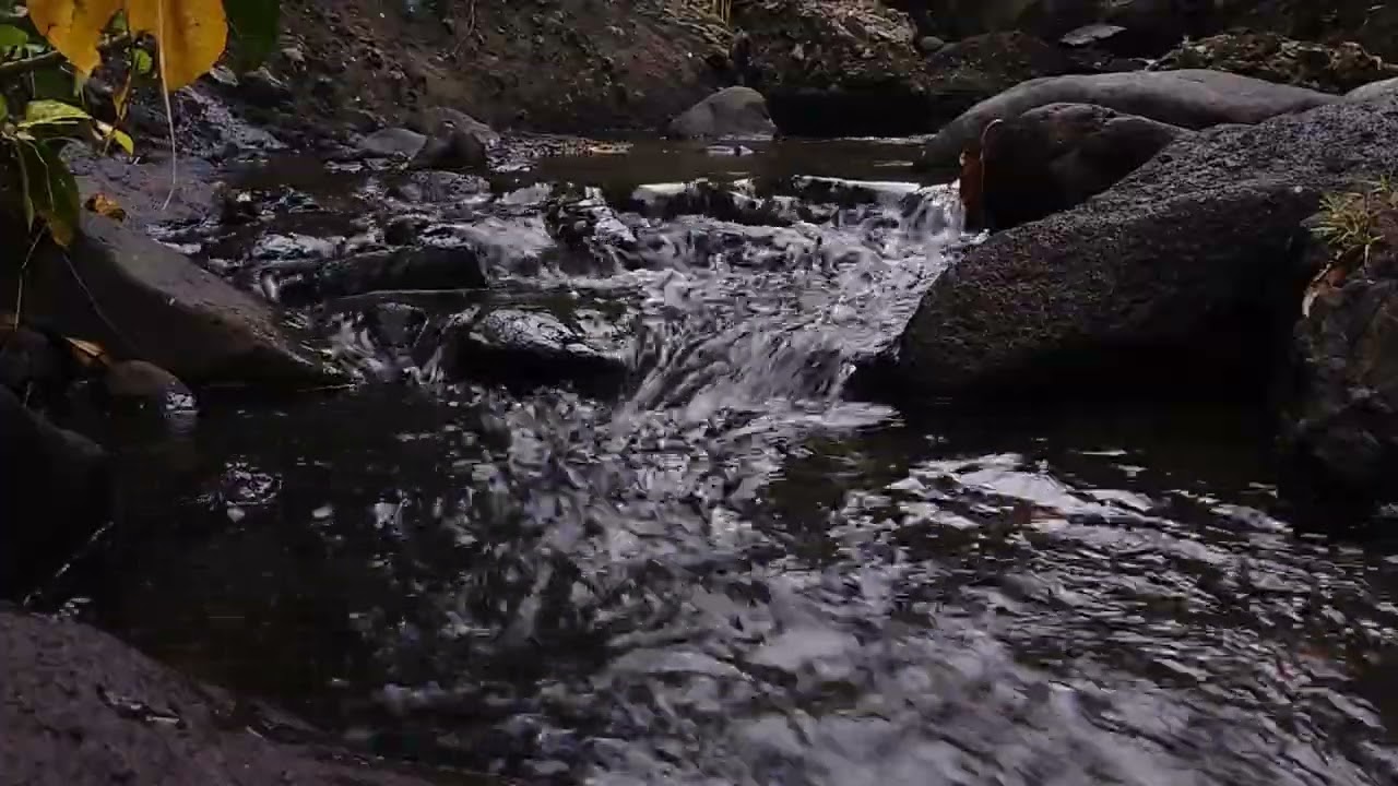 Nature Sounds River for Relaxing, Sleep and Chill - Meditation Sound