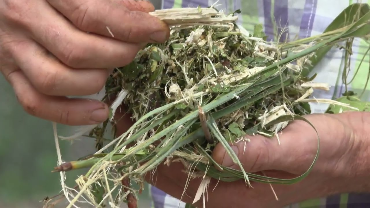 PrioriTerre. Maraichage sur sol vivant à la ferme de La Sousta à Contes