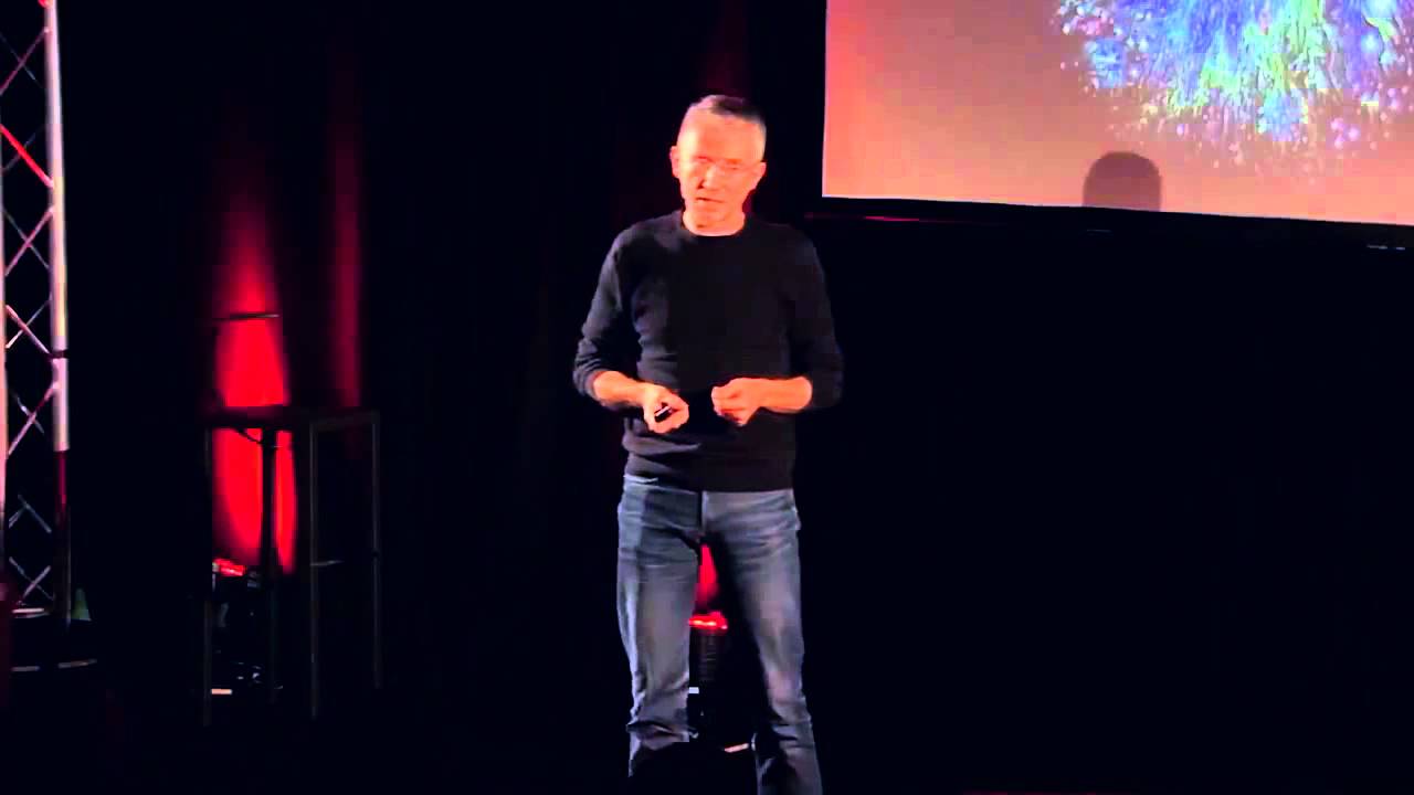 Les nouvelles intelligences collectives | Jean-François NOUBEL | TEDxBelfort
