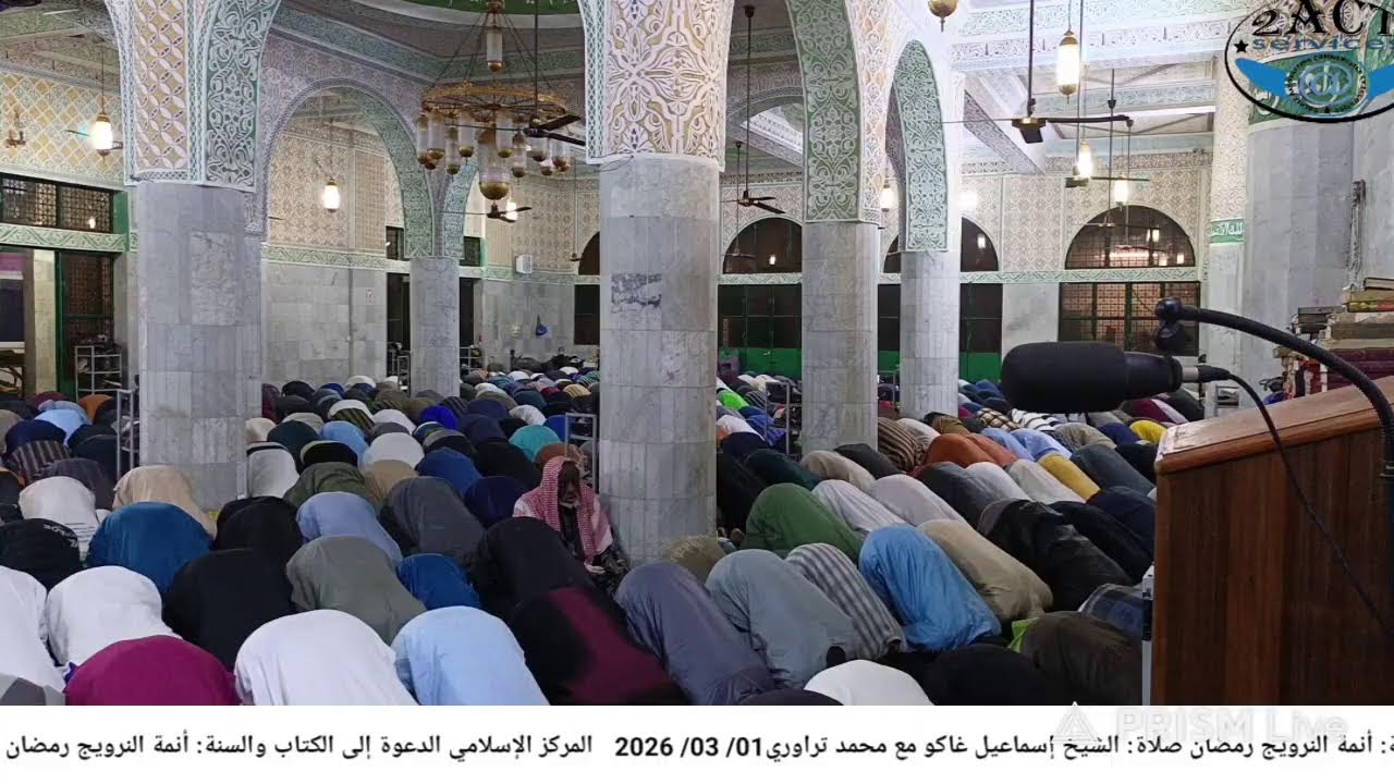أنمة الترويج 