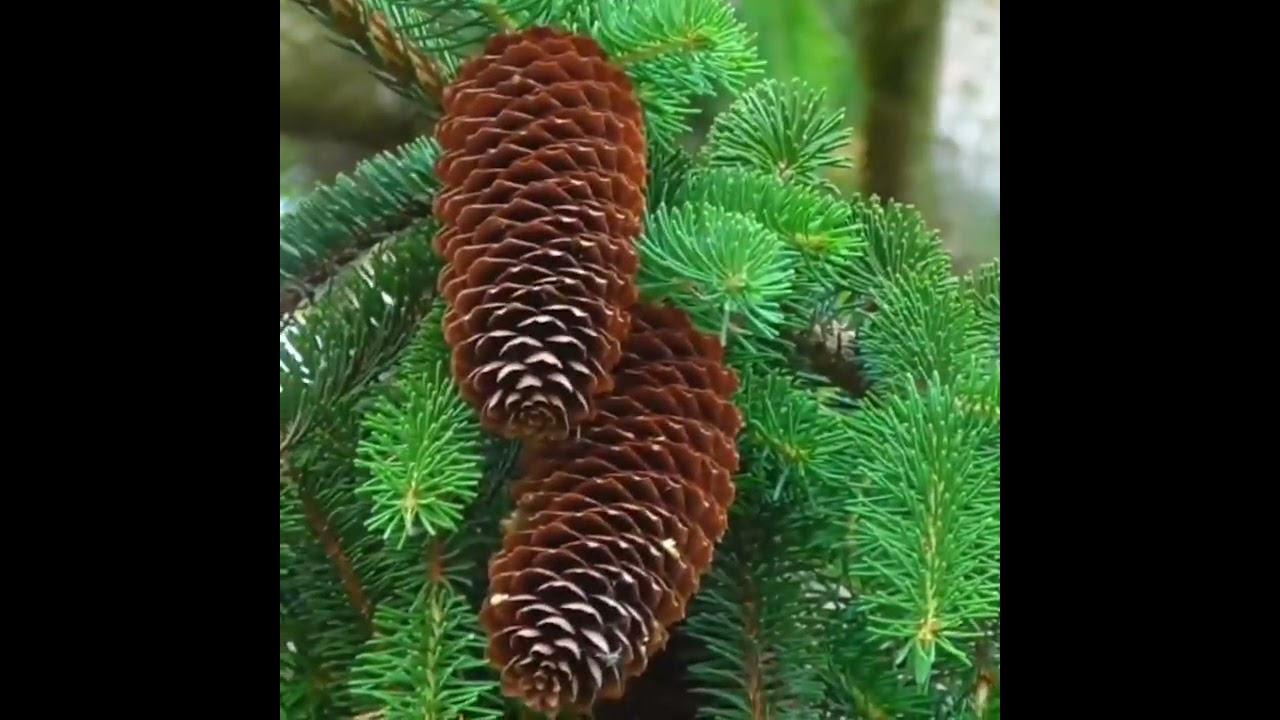 25 февраля 2026 г. 