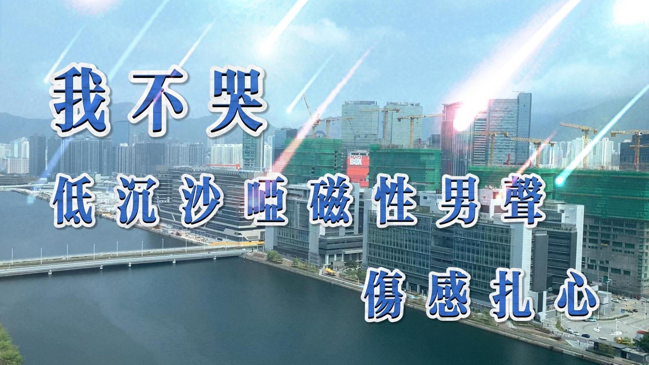 我不哭（伤感扎心）｜低沉沙哑磁性男声｜情绪拉满放不下 （越听越痛）（入耳就上头）夜里最适合听（循环推荐）I Won&rsquo;t Cry Raspy Male Voice｜Heartbreaking #张锦辉