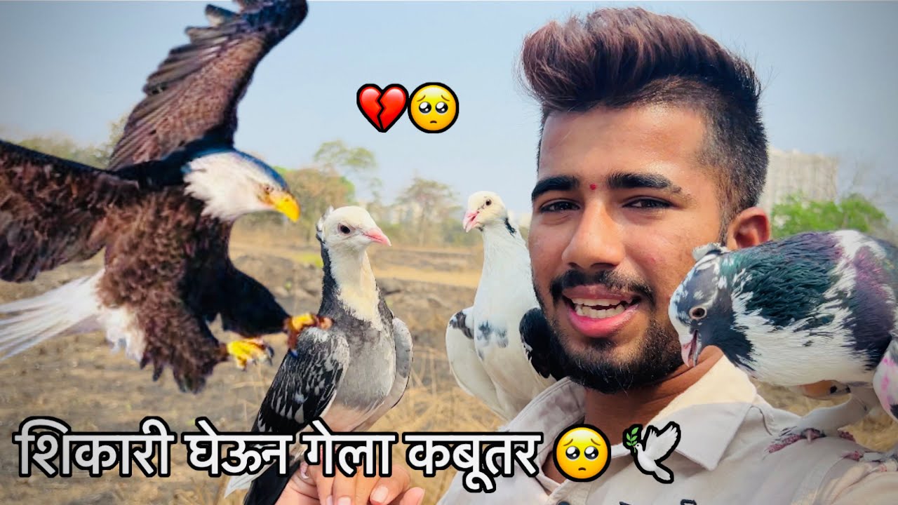शिकारी घेऊन गेला कबूतर 🥺🕊️|| आत परत नाय उडवणार गाडीवर कबूतरा 💔🥺🕊️￼