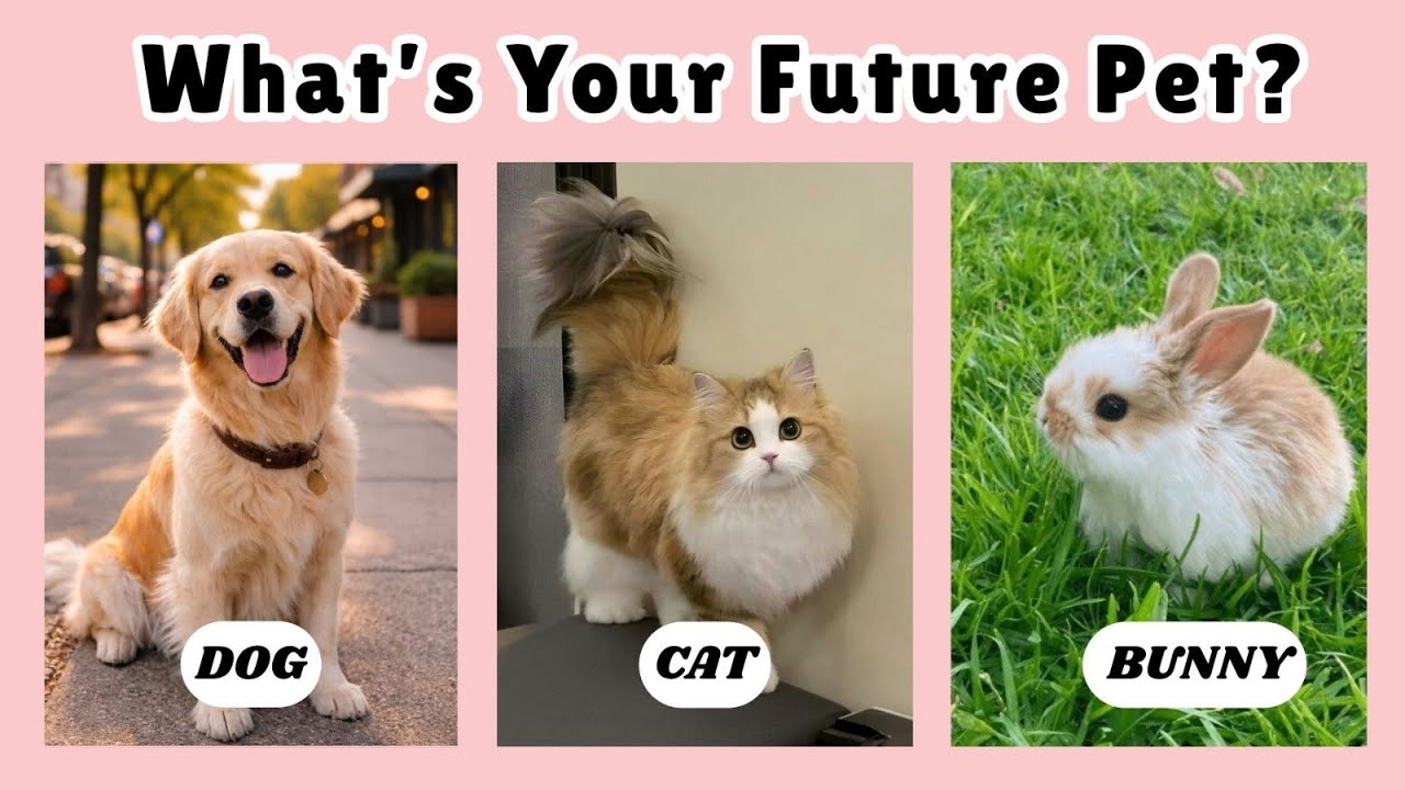 Have you ever wondered what pet is waiting for you in the future? 🐾