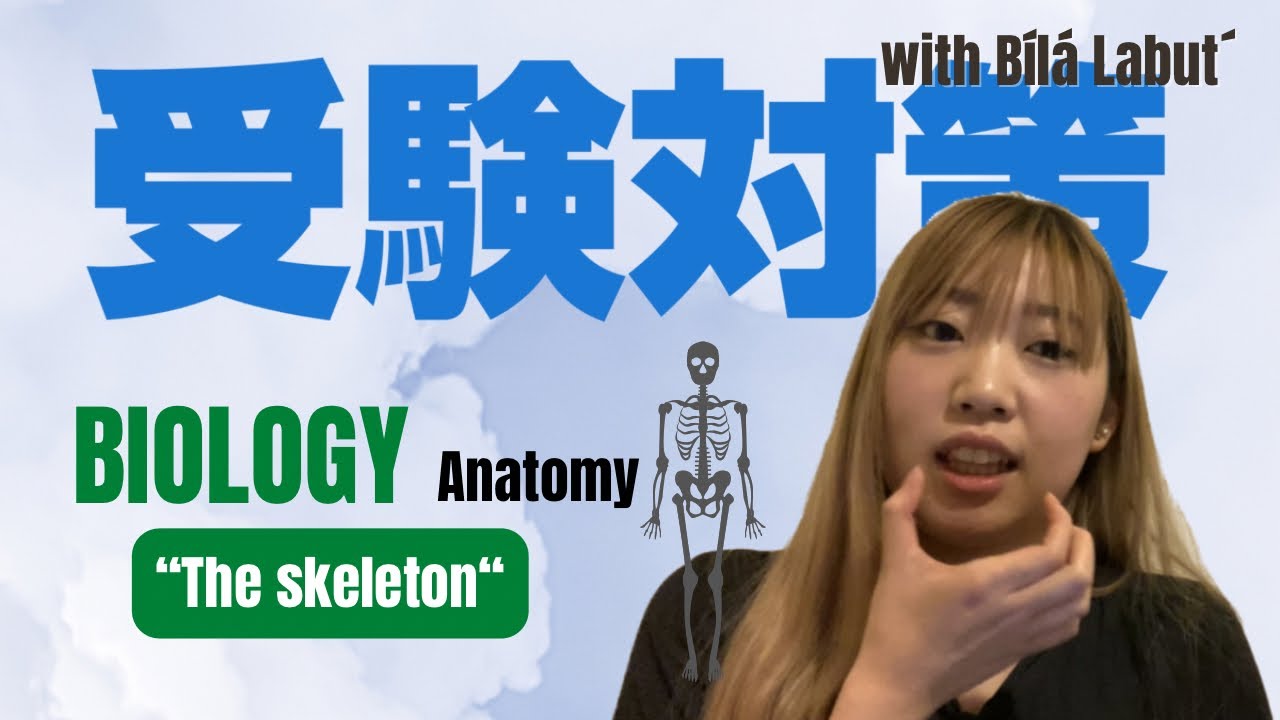 【ビーラーラブトと受験対策！】Biology: Anatomy  &ldquo;The skeleton&rdquo; (生物: 解剖学　&ldquo;骨格&rdquo;)