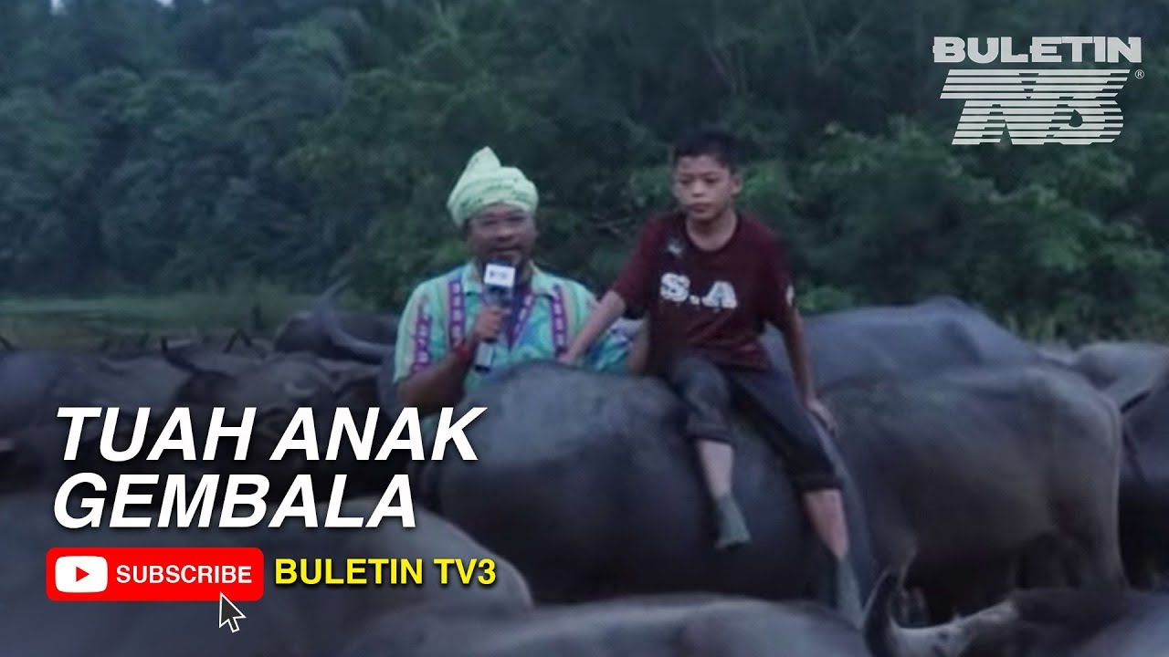 SYUKUR KHAMIS | Tuah Anak Gembala