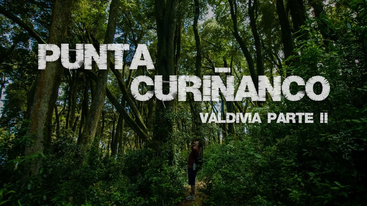 Punta Curiñanco y una que otra cerveza | Valdivia Parte #2