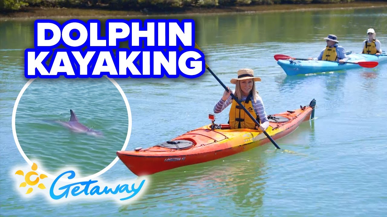 Dolphin kayaking in Adelaide | Getaway
