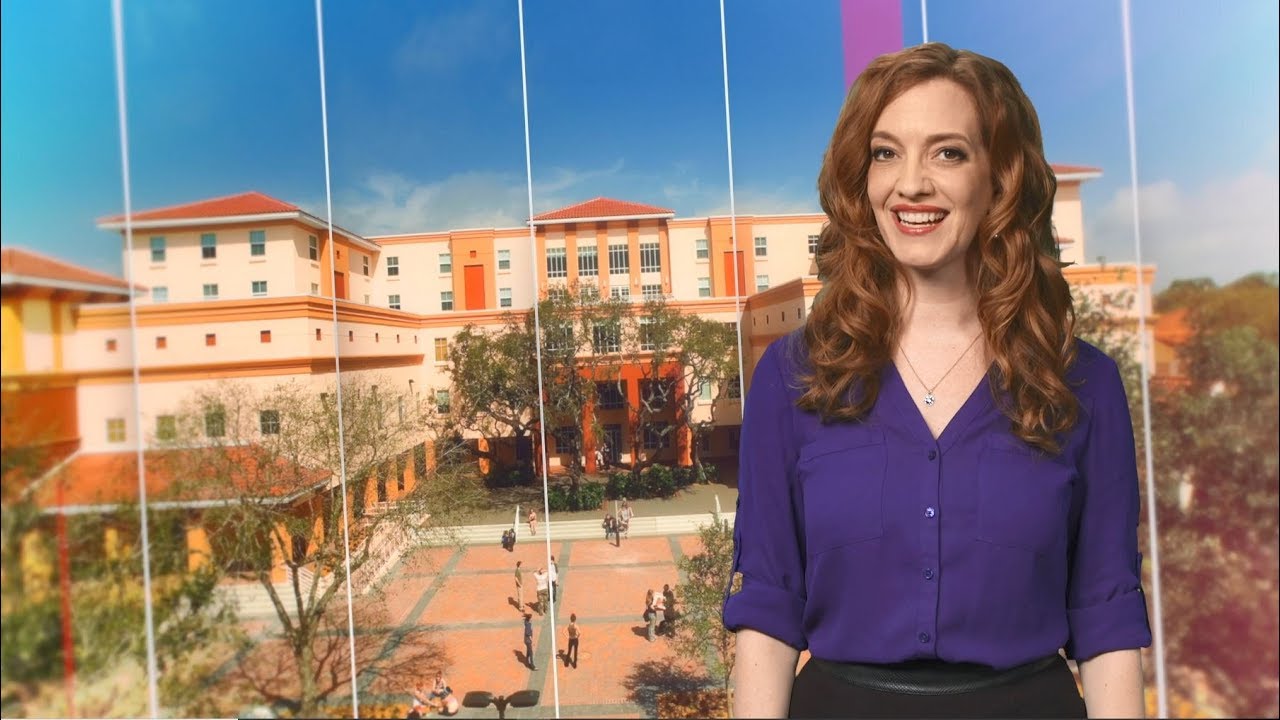 Your Guide to Top Colleges & Universities in Sarasota & Bradenton