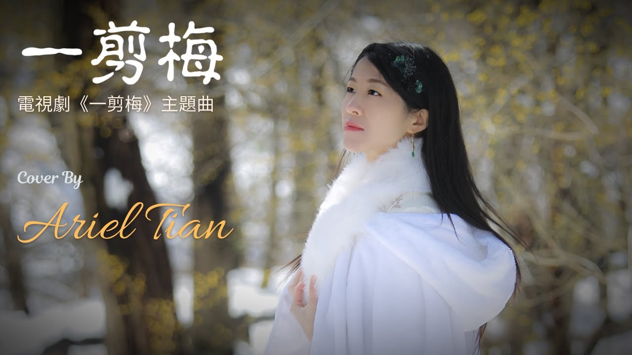 Fei Yu Qing Yi Jian Mei Xue Hua Piao Piao Cover by Ariel Tian | 費玉清一剪梅2020 （田恬翻唱）