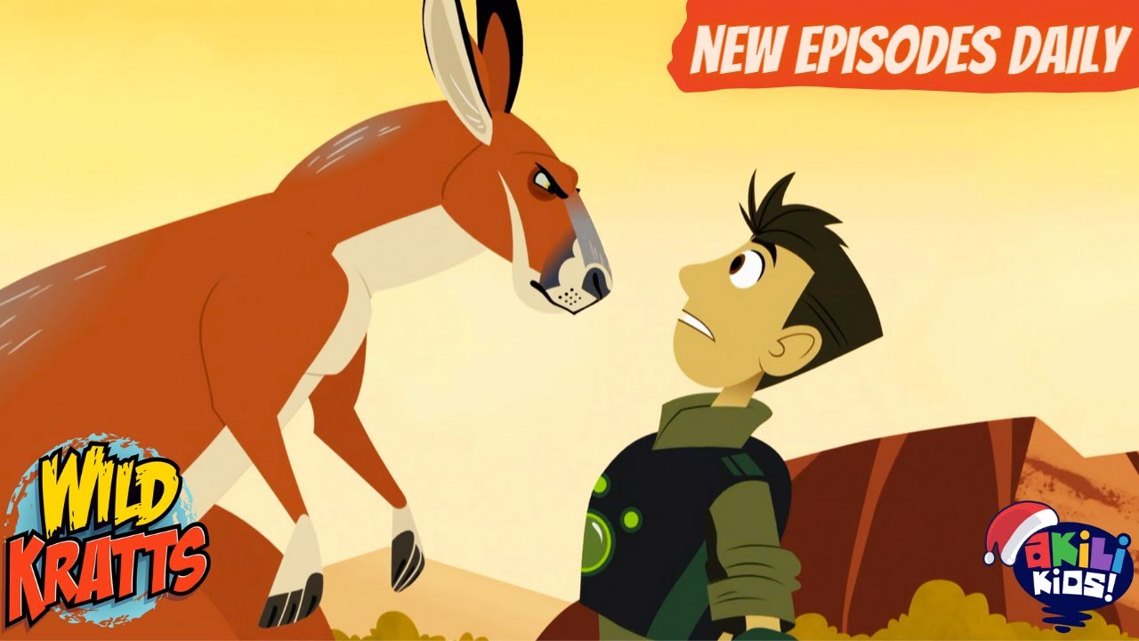 Wild Kratts | Kangaroo Power | Akili Kids!