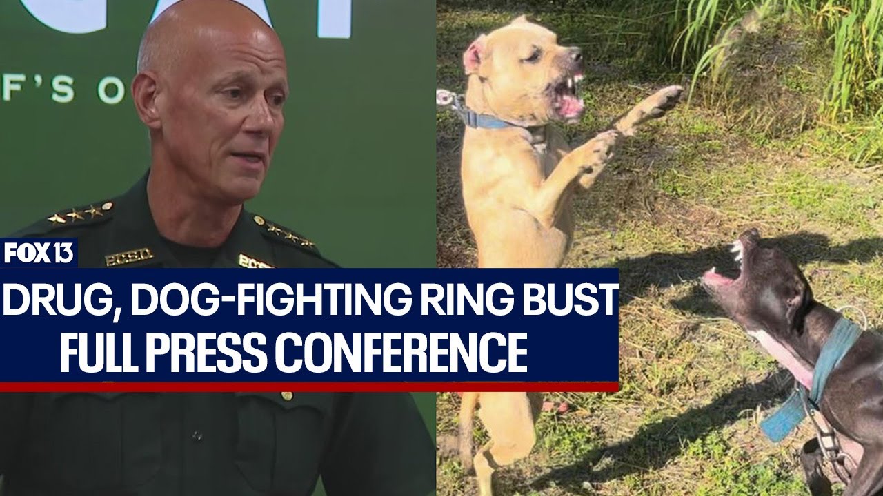 Florida dog-fighting ring, drug operation bust leads to arrests, seizures