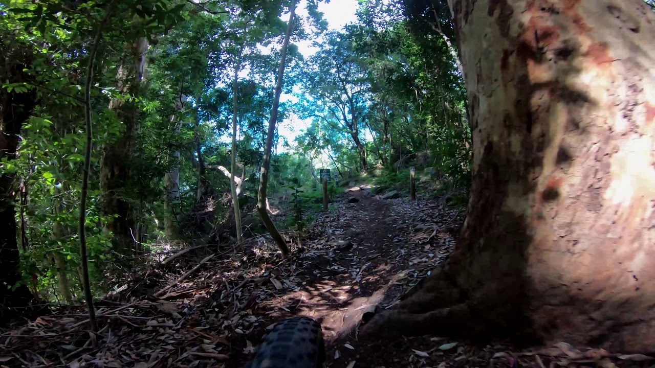 Newlands Forest Singletrack