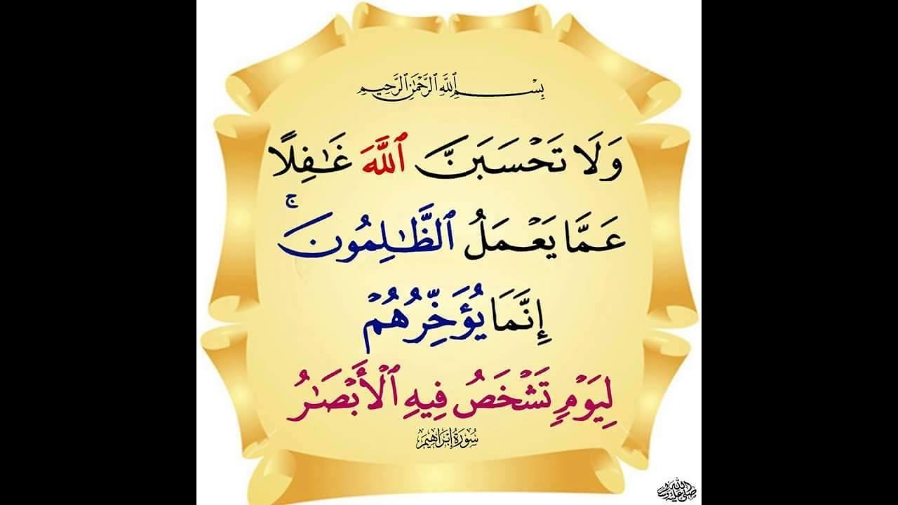 ظلم بعض أصحاب المذاهب والدعوات والأحزاب والكيانات لمن يخالفهم، وكلام نفيس لابن عقيل الحنبلي